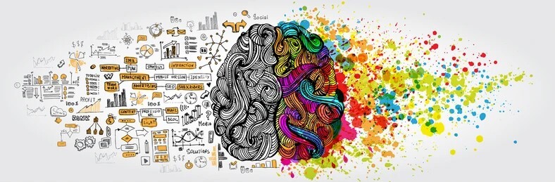 Illustration of a human brain divided into two halves, representing logic and creativity. The left side is filled with structured black-and-white sketches of charts, graphs, formulas, and business concepts, symbolizing analytical thinking. The right side is colorful, with swirling patterns and paint splashes, representing artistic expression, imagination, and creativity. Illustration of a human brain divided into two halves, representing logic and creativity. The left side is filled with structured black-and-white sketches of charts, graphs, formulas, and business concepts, symbolizing analytical thinking. The right side is colorful, with swirling patterns and paint splashes, representing artistic expression, imagination, and creativity.